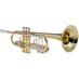 Trumpet News Uganda (@TrumpetnewsUG) Twitter profile photo