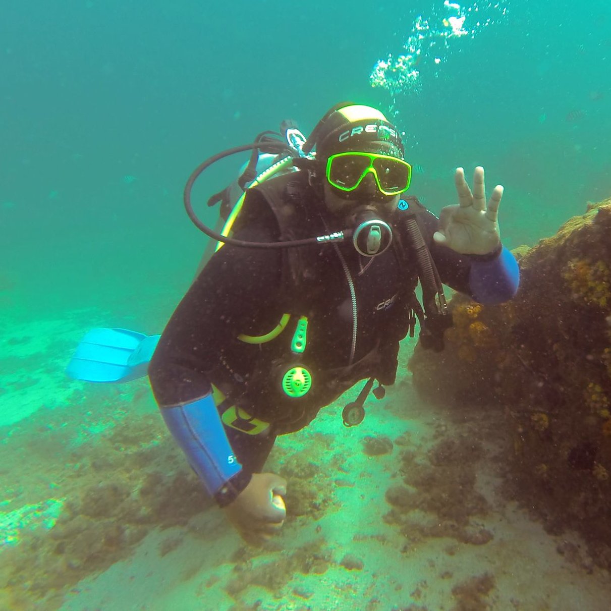 George of The Jungle - The best Guide the Ilha Grande