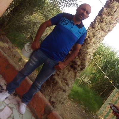 MohibFouad's profile picture. 