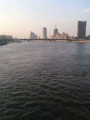 SolemaTaha's profile picture. 