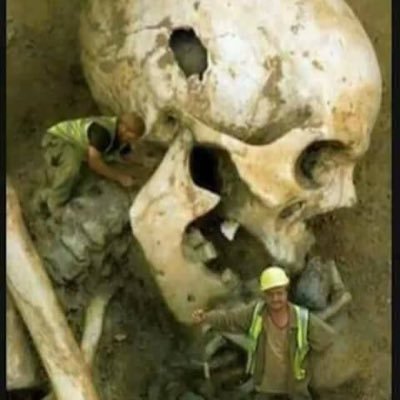 mimo20434627's profile picture. مصري ، ٢٥ يناير و بس. حروق الإنسان و حقوقه . من يضحون بحريتهم من أجل أمنهم لا يستحقون  الأثنين،