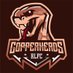 Copperheads RLFC (@CopperheadsRLFC) Twitter profile photo