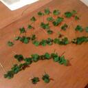 Kristopher Cross - @KrisKiddCross - Twitter