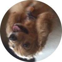 Not Brian (@notbjunderwood) 's Twitter Profile Photo