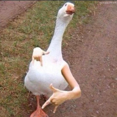 NinjaSkid_'s profile picture. Loading...