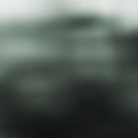 Mouse & the Billionaire (@thebillionaire) 's Twitter Profile
