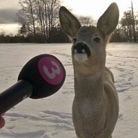 Erich.exe (@ericwithanh) 's Twitter Profile