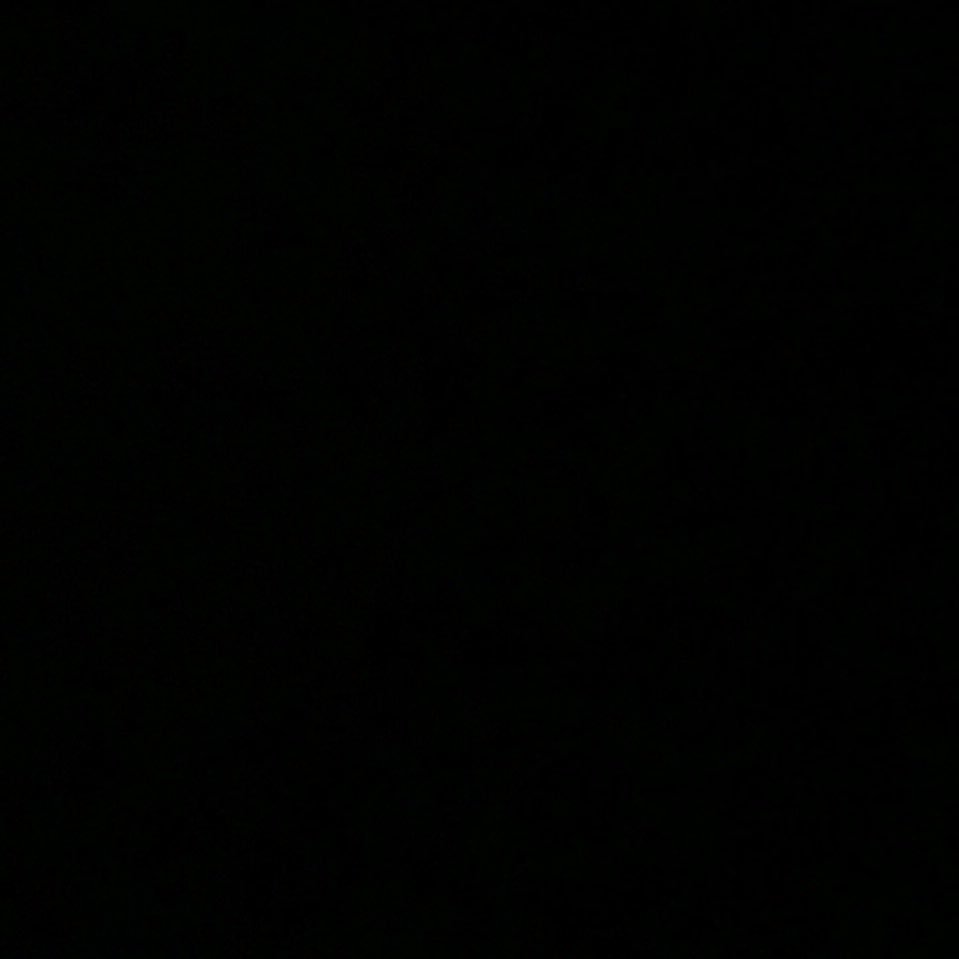 Trying to have a good time