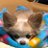 AKIのアイコン