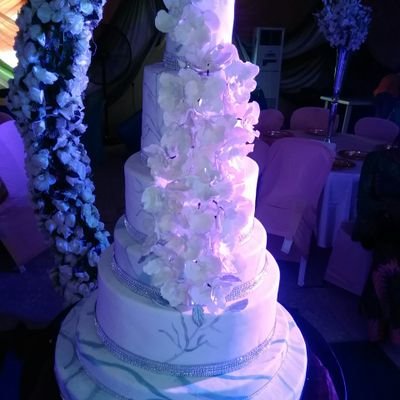 We add the magical finishing to your events using edible arts. Our sumptuous arts leaves you drooling & wanting more.
Cake Artist, Chef, Trainer & Influencer