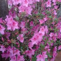 Mia Rodriguez (@miarodr89261946) 's Twitter Profile Photo Mia Rodriguez (@miarodr89261946) 's Twitter Profile Photo