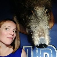 Kay Newport (@newportkay) 's Twitter Profile
