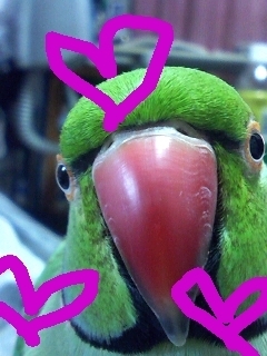 Micchian's profile picture. 