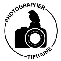 Tiphaine Brydniak(@PhotoTiphaine) 's Twitter Profile Photo