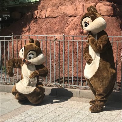 Disney Creators Profile