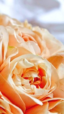 djdjdudifijc's profile picture. 