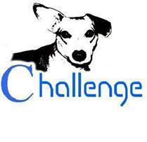 Each tweet with @challengerescue generates a donation of U$0.10 cents to the Challenge Dog Rescue Foundation.