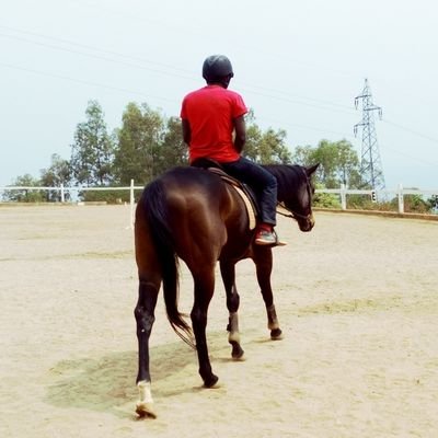 addamsalano's profile picture. 