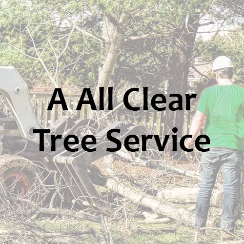a_allcleartrees's profile picture. Dangerous trees, storm damaged, or hazardous, no job is too big or too small for the tree experts at A All Clear Tree Service.