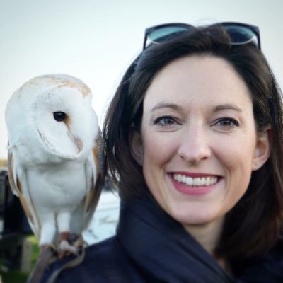 carole_fagan's profile picture. Private Equity 🇮🇪 ... and otherwise 🐎 @Mullingareq - all views are my own