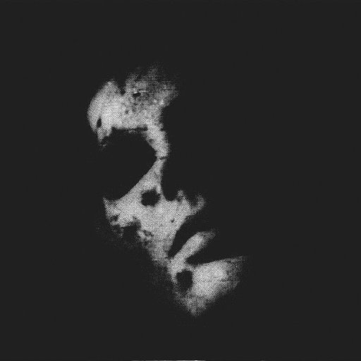CypLakomy's profile picture. Wordsmith. Musician. Adventurer.