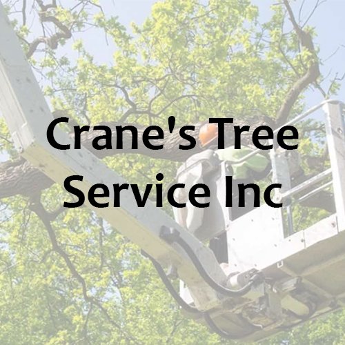 cranetreeserv's profile picture. Tree and Shrub Services Servicing all of Long Island