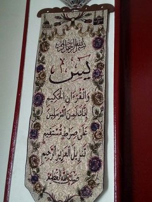 amiraab59818540's profile picture. 