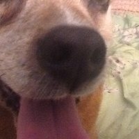 jm.ems.md (@fireems911) 's Twitter Profile