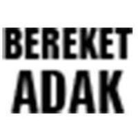 BEREKET ADAK (@adakbereket) Twitter profile photo