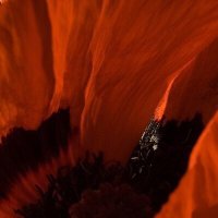 jan miller kerr (@janmillerphoto) 's Twitter Profile