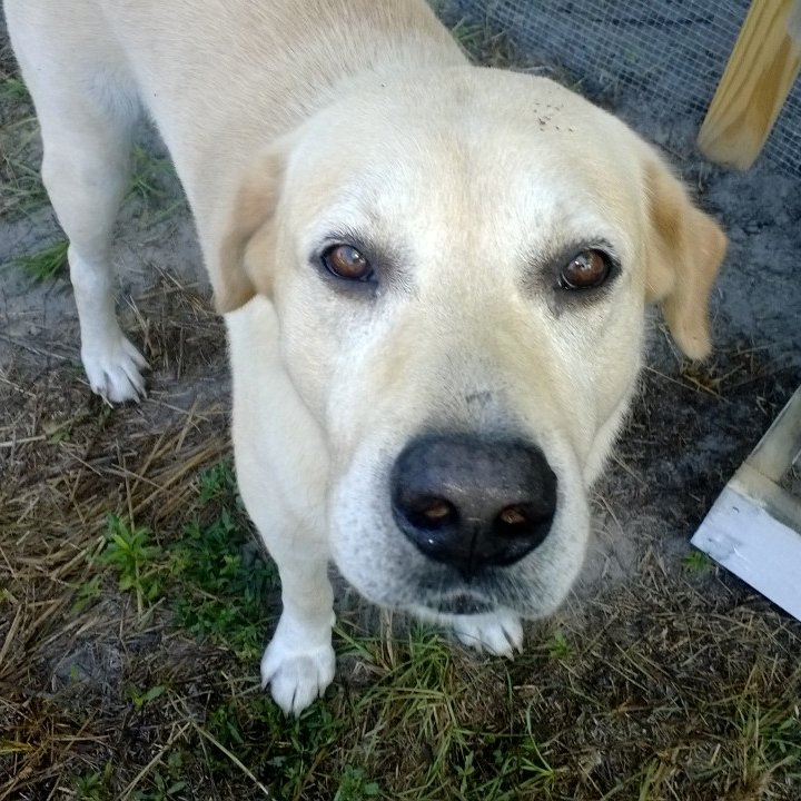 merryviewfarm's profile picture. 