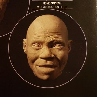 saushagen's profile picture. Against the strange death of Europe. Rechtsliberal, nicht AfD. Ausgewandert oder auf dem Weg dorthin. Hier, um meinen Senf dazu zu geben. Der hat noch gefehlt.