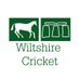 Wiltshire Cricket 🏏 (@WiltsCricket) Twitter profile photo