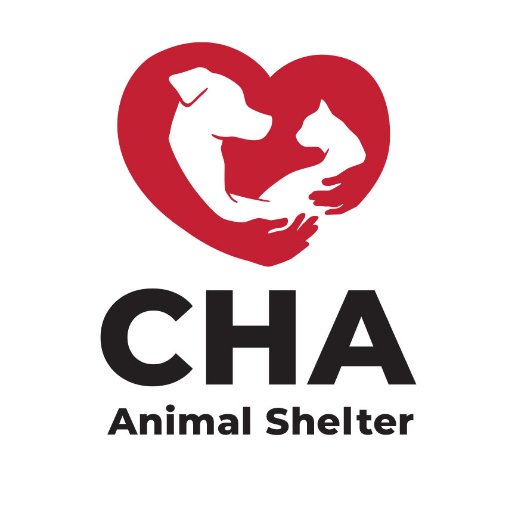 A nonprofit animal shelter in Columbus, OH, funded solely by donations and fundraising efforts. #chaanimalshelter