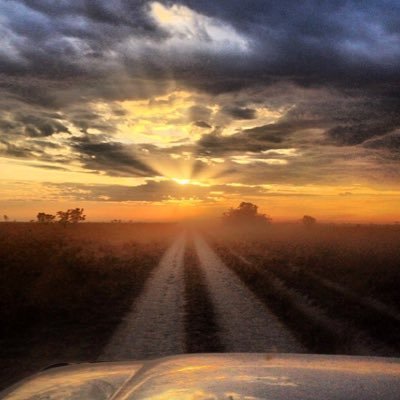 ricardoegorayeb's profile picture. 