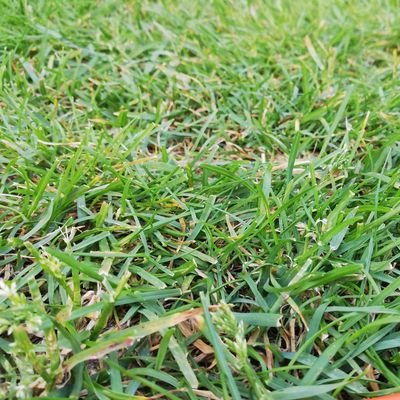 TheONEkkkk's profile picture. 