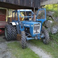 Michael Gissing (@scolytu5) 's Twitter Profile