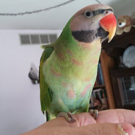 907611's profile picture. 