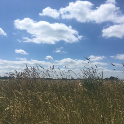 Linso1000's profile picture. 