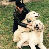 Dawnie (@dcarmichael66) 's Twitter Profile