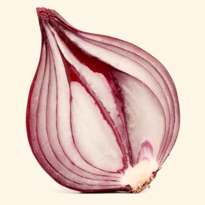 Hi! I am an onion. I have many layers and know my onions.