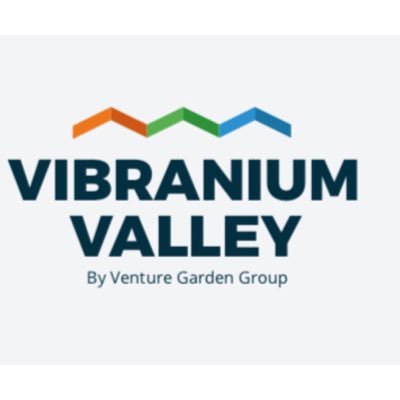 VibraniumValley Profile Picture