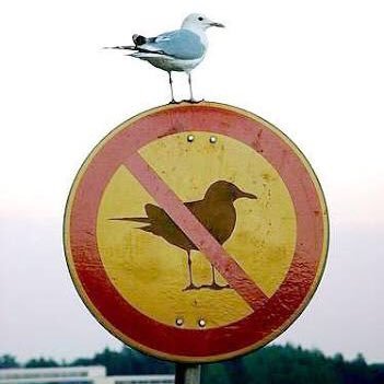 GIF_Pls's profile picture. GIF