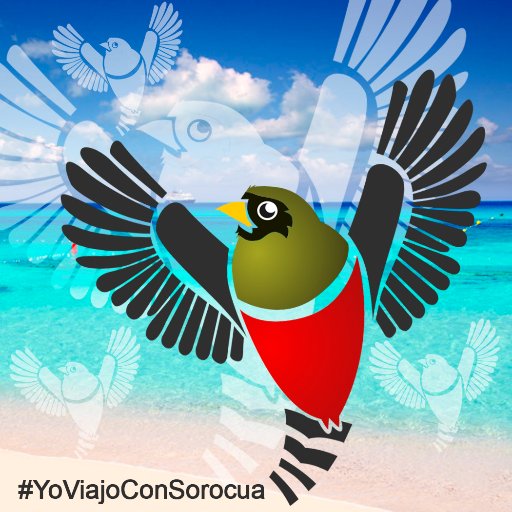 Agencia de Viajes y Turismo Sorocua,
dedicada a la comercialización y venta de boleteria nacional e internacional. Contactamos al 0243-9350298/2332065