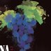 Maritana Vineyards (@maritanavyrds) Twitter profile photo Maritana Vineyards (@maritanavyrds) Twitter profile photo