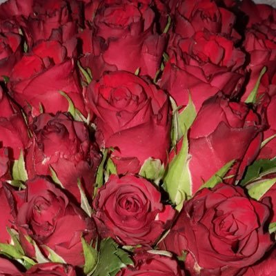 Unityui1's profile picture. .