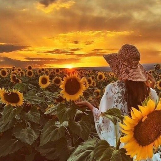 THE ONLY PERSON YOU SHOULD TRY TO BE BETTER THAN, IS THE PERSON YOU WERE YESTERDAY. 🌱🌻🦋🌻🌱