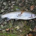 Aaron Lenart - @wrtroutfitters - Twitter