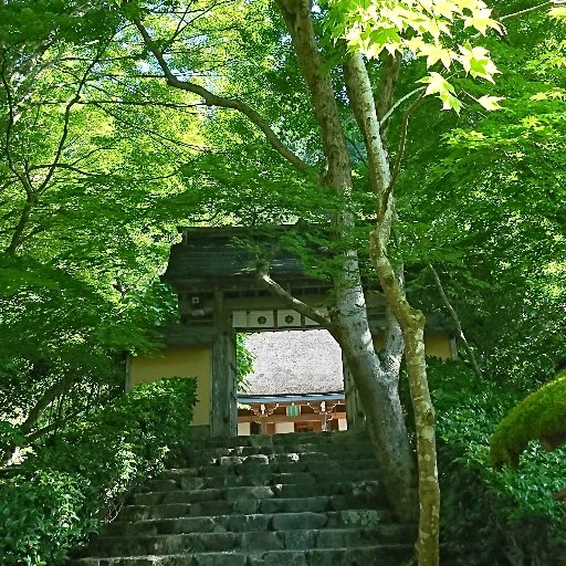 京都大原にある建礼門院ゆかりの尼寺です。境内の様子等を紹介しています。