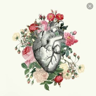 nadaali960's profile picture. (Human Nutrition, squ) الإنسانية بعمقها هي القيمة المطلقة للكرامة